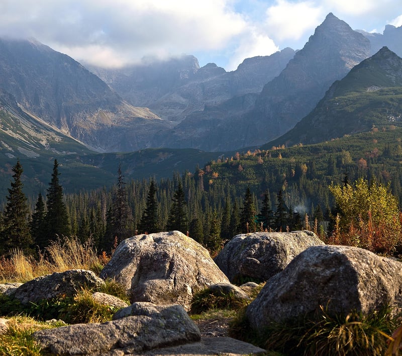 Mountain Majesty