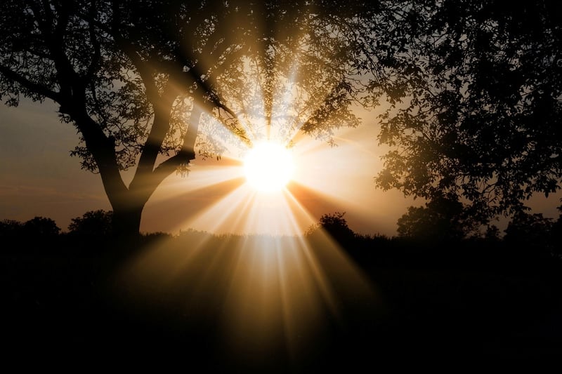 Sunbeam Veils