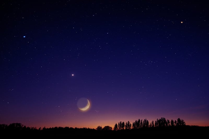 Moonlit Elegance Dress